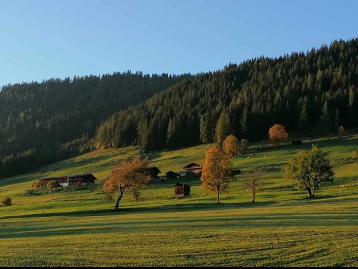Haus Raimund 